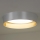 Duolla - LED-kattovalaisin ROLLER LED/24W/230V halkaisija 45 cm hopea/kulta