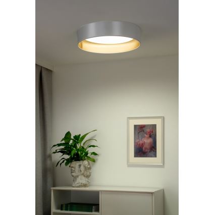 Duolla - LED-kattovalaisin ROLLER LED/24W/230V halkaisija 45 cm hopea/kulta