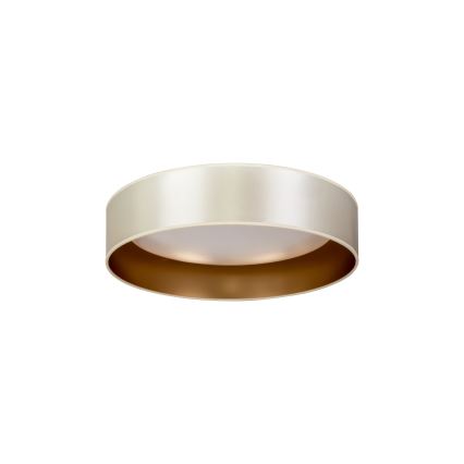 Duolla - LED-kattovalaisin ROLLER LED/24W/230V halkaisija 45 cm hopea/kulta