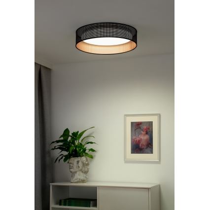 Duolla - LED-kattovalaisin ROLLER LED/24W/230V halkaisija 45 cm musta/kupari