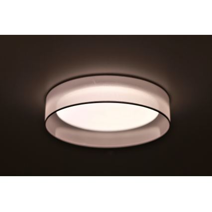 Duolla - LED-kattovalaisin ROLLER LED/24W/230V halkaisija 45 cm vaaleanharmaa