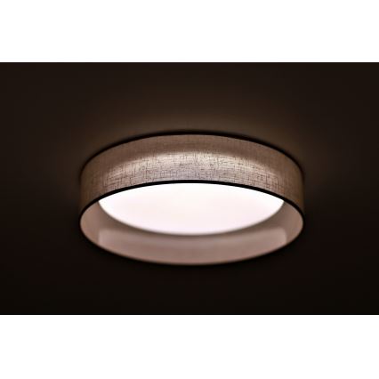 Duolla - LED-kattovalaisin ROLLER LED/24W/230V halkaisija 45 cm vaaleanharmaa