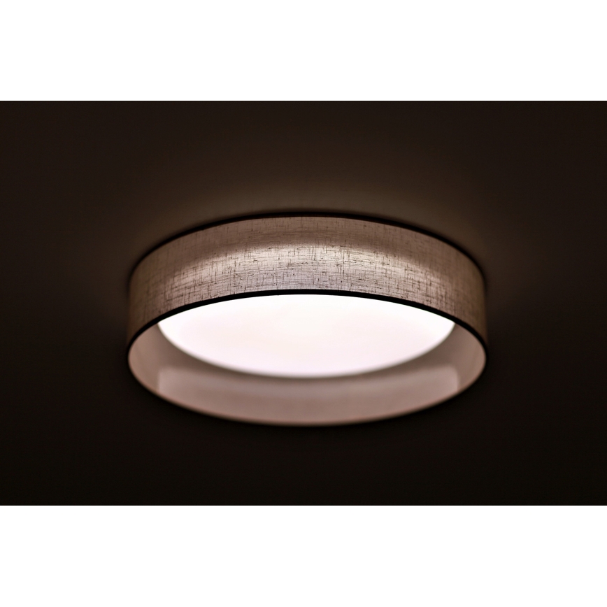 Duolla - LED-kattovalaisin ROLLER LED/24W/230V halkaisija 45 cm vaaleanharmaa