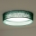 Duolla - LED-kattovalaisin ROLLER LED/24W/230V halkaisija 45 cm vihreä
