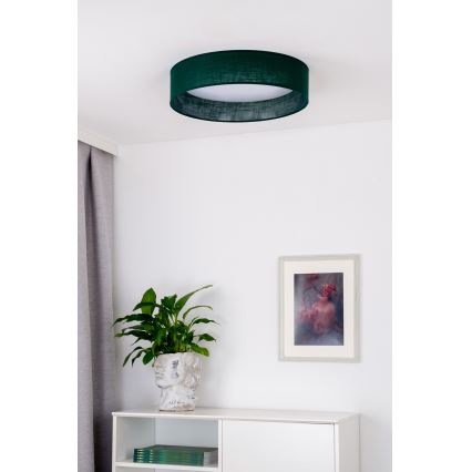 Duolla - LED-kattovalaisin ROLLER LED/24W/230V halkaisija 45 cm vihreä