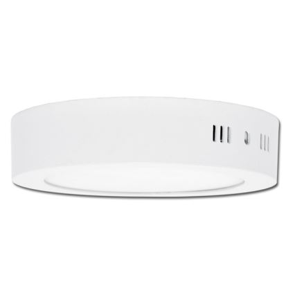 LED-kattovalaisin LADA LED/25W/230V 3000/4000/6000K halkaisija 30 cm valkoinen
