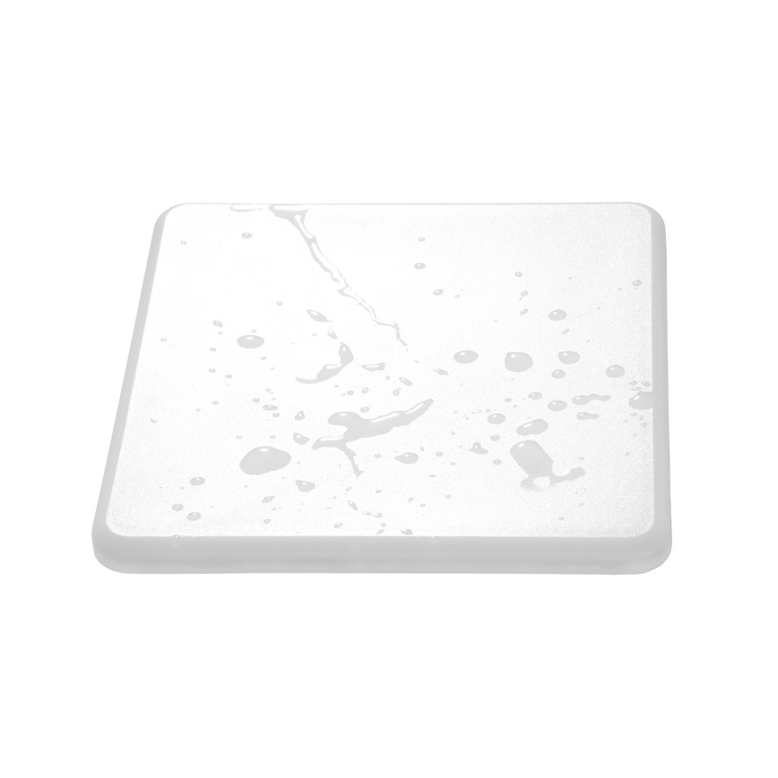 LED-kattovalaisin kylpyhuoneeseen ROXY LED/22W/230V IP66