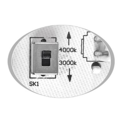 LED-ulkokattovalaisin MARTIN LED/15W/230V 3000/4000K halkaisija 30 cm IP65 musta