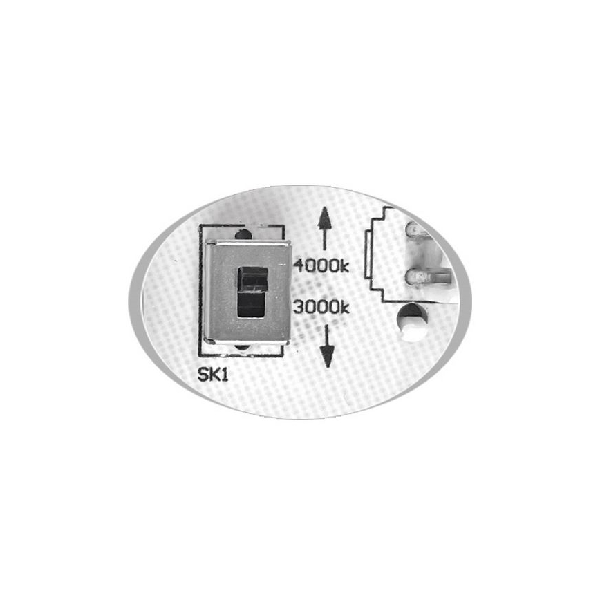 LED-ulkokattovalaisin MARTIN LED/15W/230V 3000/4000K halkaisija 30 cm IP65 musta