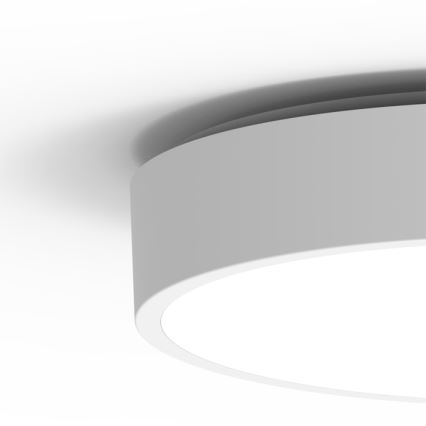 LED-ulkokattovalaisin MARTIN LED/25W/230V 3000/4000K halkaisija 35 cm IP65 valkoinen