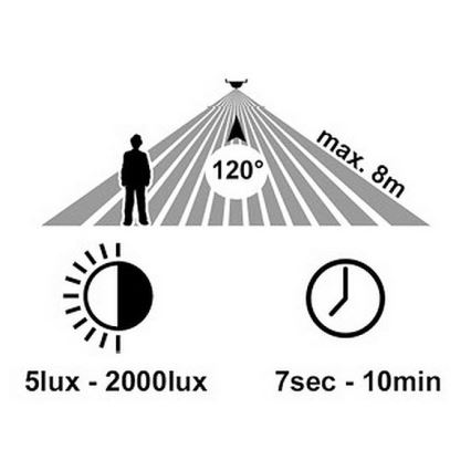 LED Ulkovalo anturilla RITA LED/12W/230V 4000K IP65