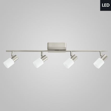 Eglo 31392 - LED-kohdevalaisin TABERNO 4xLED/5W/230V