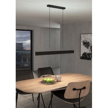 Eglo 31433 - LED RGBW Himmennettävä kattokruunu johdossa ANDREAS-Z LED/38W/230V 2700-6500K musta
