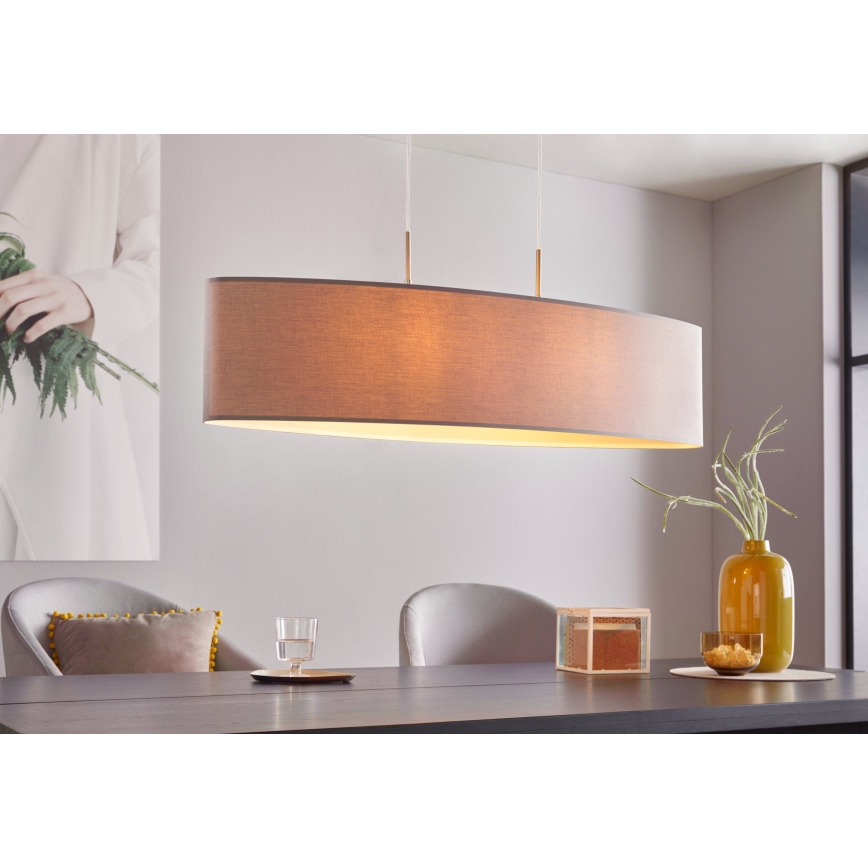 Eglo 31587 - Ripustettava kattovalaisin PASTERI 2xE27/60W/230V