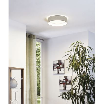 Eglo 31589 - LED-kattovalaisin PASTERI 1xLED/11W/230V
