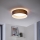 Eglo 31592 - LED-kattovalaisin PASTERI 1xLED/12W/230V