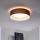 Eglo 31593 LED-kattovalaisin PASTERI LED/11W/230V
