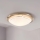 Eglo 32094 - LED-kattovalaisin PLANET LED/11W/230V 3000K mattakromi