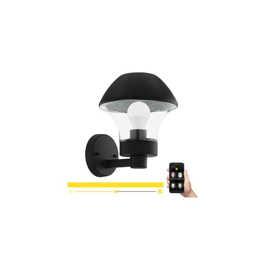 Eglo 33567 - LED-himmennettävä ulkoseinävalaisin VERLUCCA-C 1xE27/9W/230V IP44