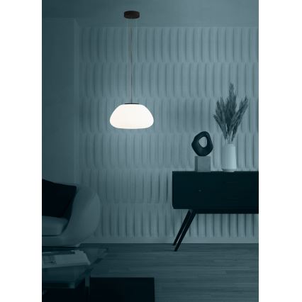 Eglo - Kattokruunu johdossa 1xE27/40W/230V musta