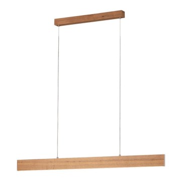 Eglo 39347 - Himmennettävä LED-kattokruunu narussa CLIMENE LED/21W/230V + LED/8,4W