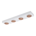 Eglo 39376 - Himmennettävä LED-kattovalaisin RONZANO 4xLED/3,3W/230V