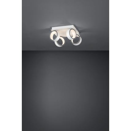 Eglo 39587 - LED-kohdevalaisin ALBARIZA 4xLED/4,6W/230V