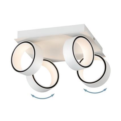 Eglo 39587 - LED-kohdevalaisin ALBARIZA 4xLED/4,6W/230V