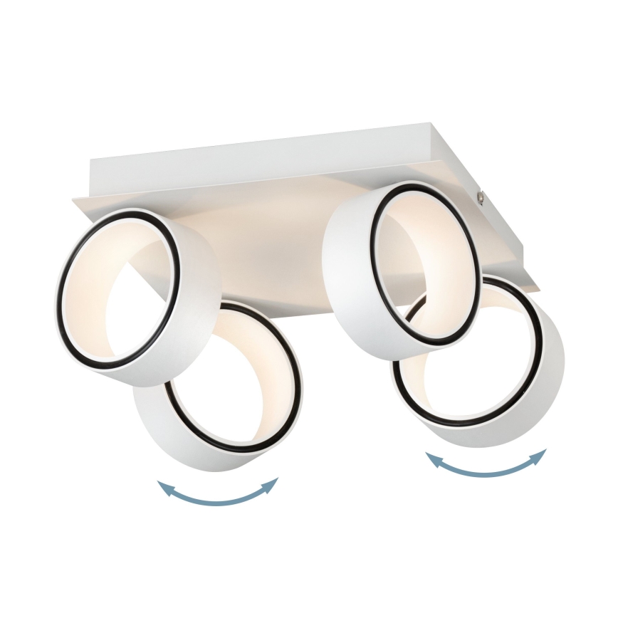 Eglo 39587 - LED-kohdevalaisin ALBARIZA 4xLED/4,6W/230V