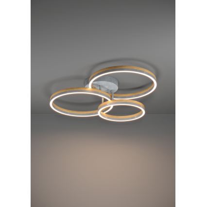 Eglo - LED-himmennyskattokruunu LED/12,5W/230V + 2xLED/15,5W 3000K harmaa/tammi