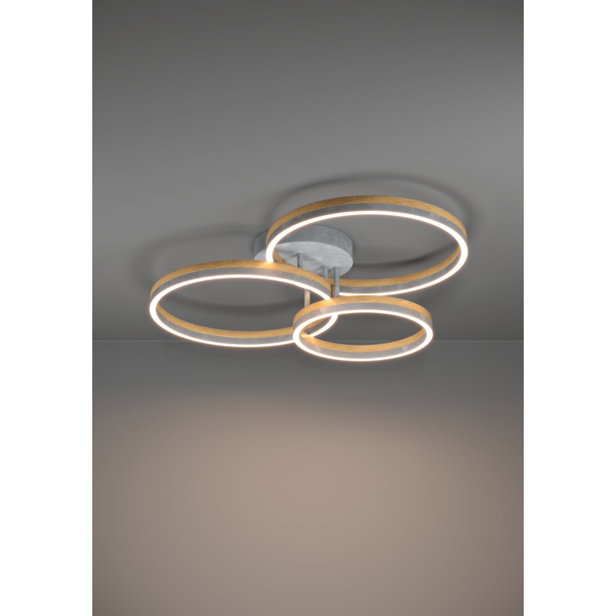 Eglo - LED-himmennyskattokruunu LED/12,5W/230V + 2xLED/15,5W 3000K harmaa/tammi