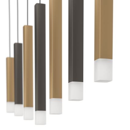 Eglo - Himmennettävä LED-kattokruunu johdossa 7xLED/3,1W/230V 3000K antrasiitti/kulta