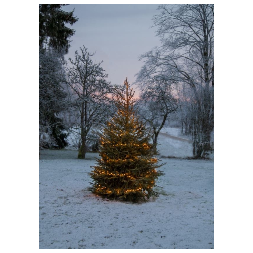 Eglo - LED Jouluketju ulkokäyttöön GOLDEN 1200xLED 24m IP44 lämmin valkoinen