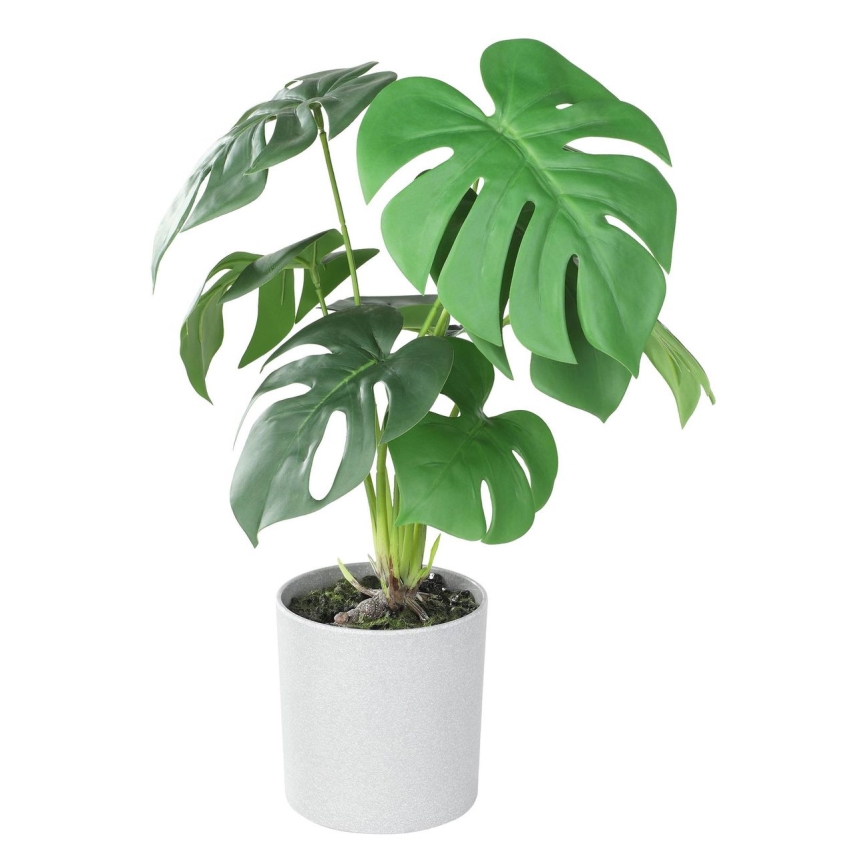 Eglo - Keinotekoinen kasvi kukkaruukussa 42x30 cm monstera