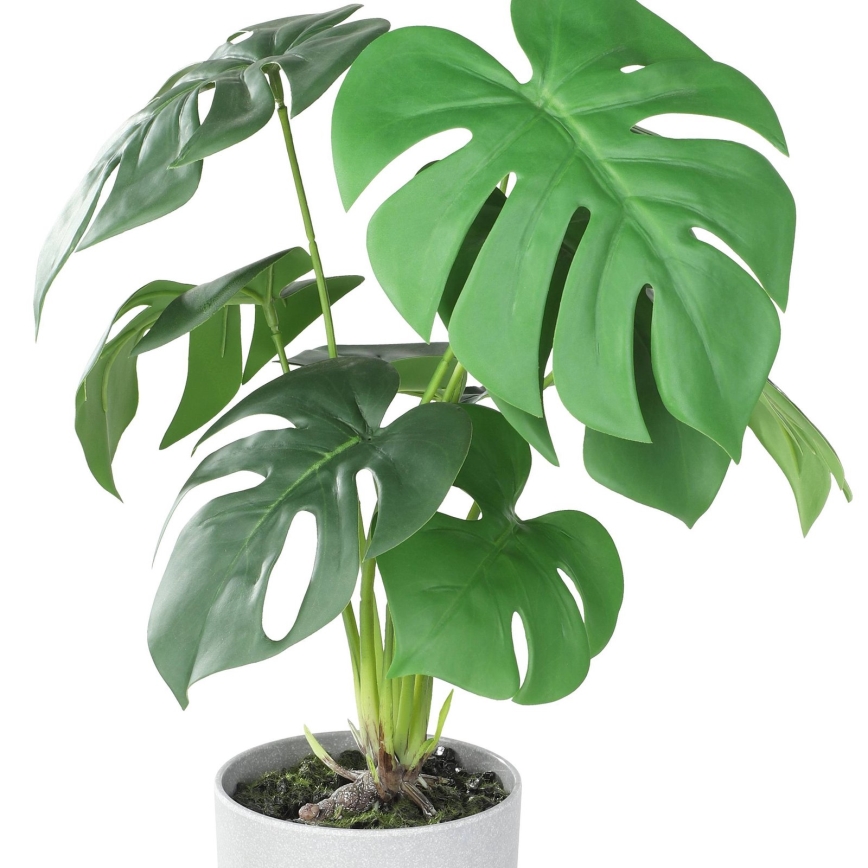 Eglo - Keinotekoinen kasvi kukkaruukussa 42x30 cm monstera