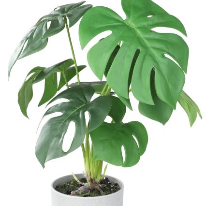 Eglo - Tekokasvi ruukussa 42x30 cm monstera