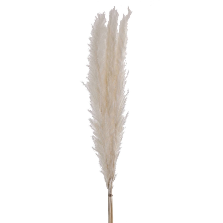 Eglo - kuivakukka 70 cm valkoinen