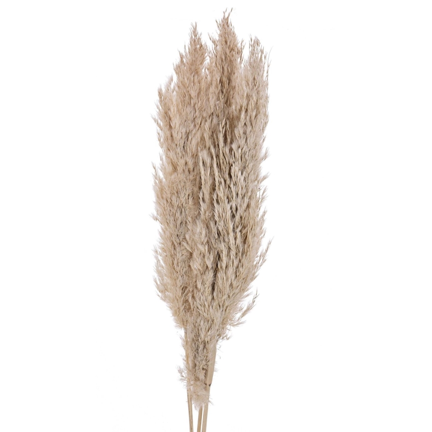 Eglo - kuivakukka 85 cm beige