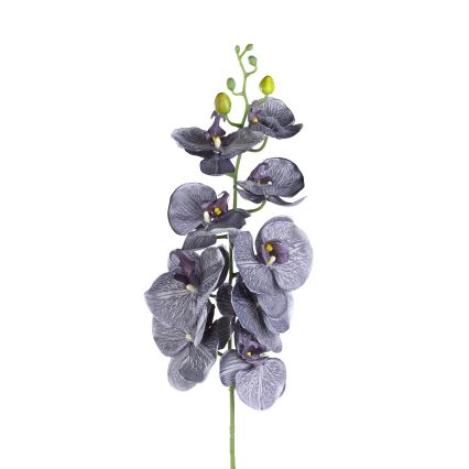 Eglo - Tekokukka 86,5 cm violetti