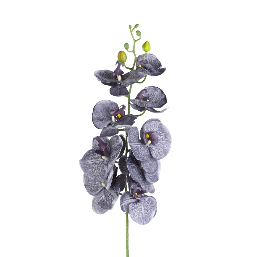 Eglo - Tekokukka 86,5 cm violetti
