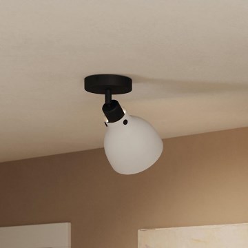 Eglo 43827 - Kohdevalo MATLOCK 1xE27/40W/230V