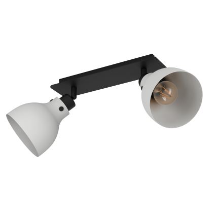 Eglo 43828 - Kohdevalo MATLOCK 2xE27/40W/230V