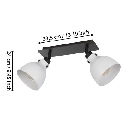 Eglo 43828 - Kohdevalo MATLOCK 2xE27/40W/230V