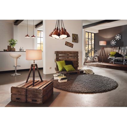 Eglo - Lattiavalaisin 1xE27/60W/230V