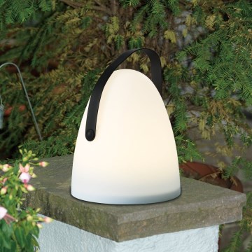 Eglo 48841 - LED-ulkovalaisin COLLIRADOS LED/3xAA IP44