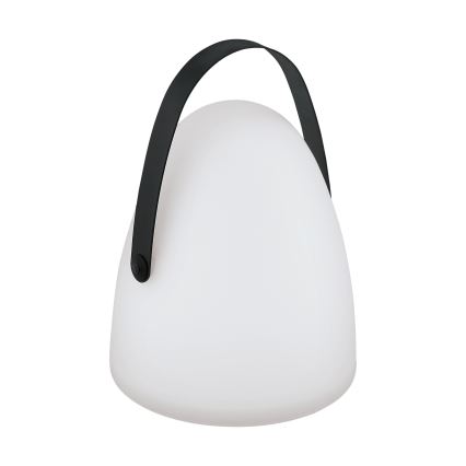 Eglo 48841 - LED-ulkovalaisin COLLIRADOS LED/3xAA IP44
