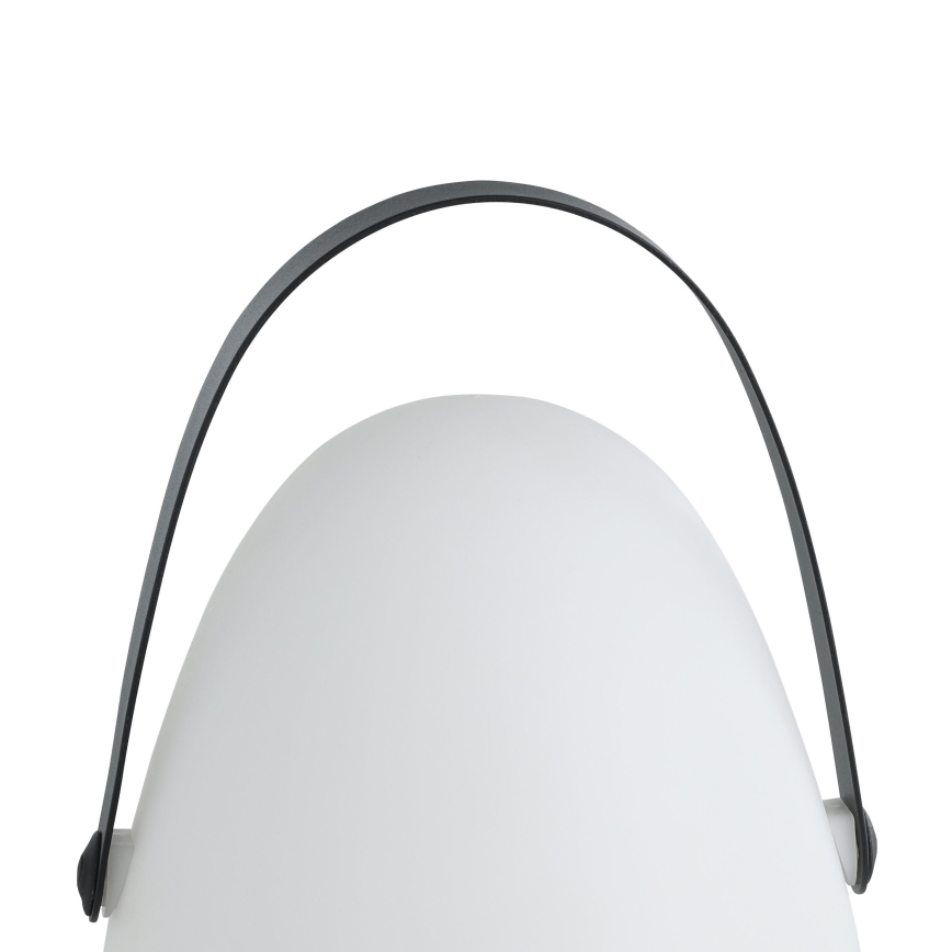 Eglo 48841 - LED-ulkovalaisin COLLIRADOS LED/3xAA IP44