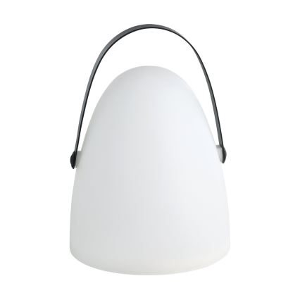 Eglo 48841 - LED-ulkovalaisin COLLIRADOS LED/3xAA IP44