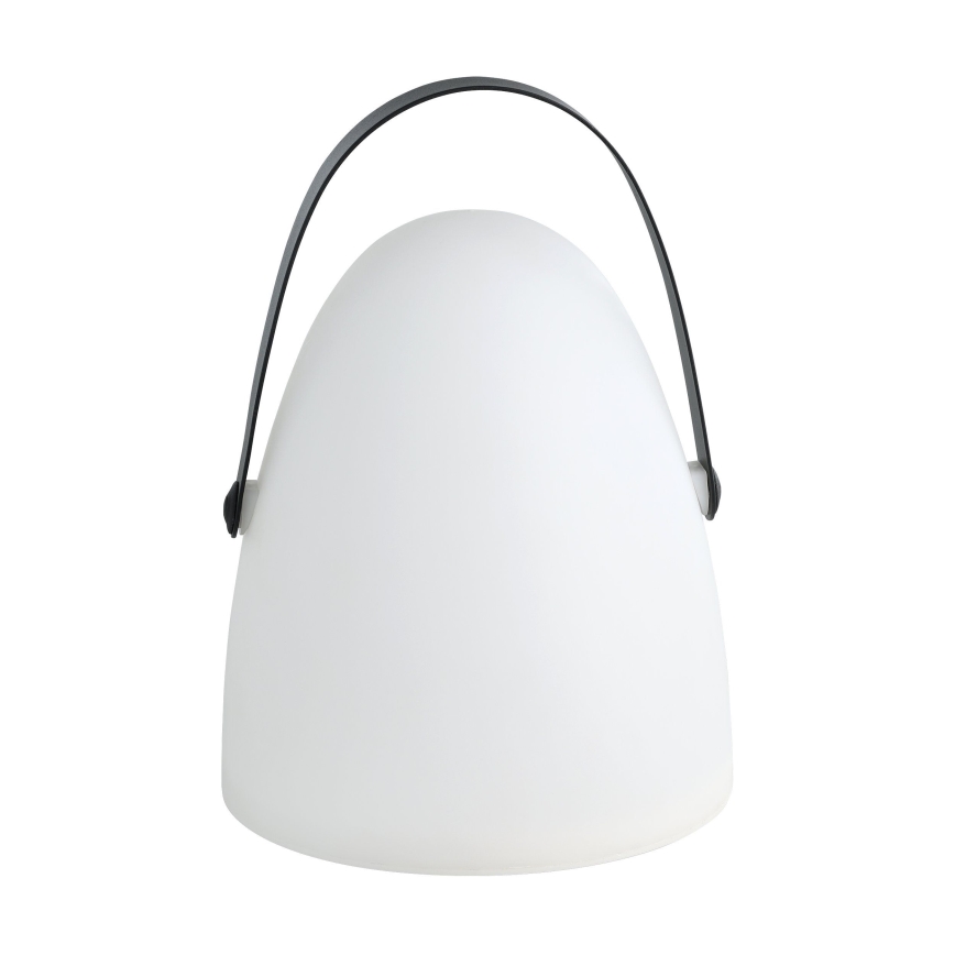 Eglo 48841 - LED-ulkovalaisin COLLIRADOS LED/3xAA IP44