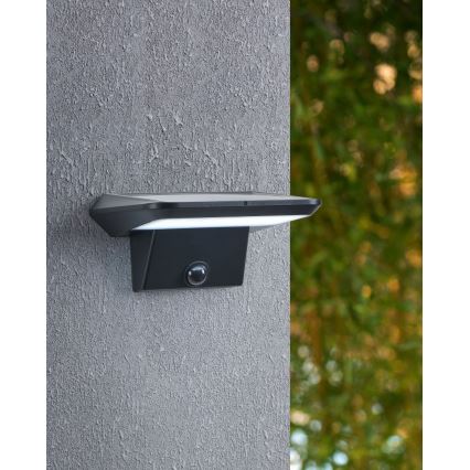 Eglo - LED-seinäaurinkovalaisin anturilla LED/20W/3,7V IP44
